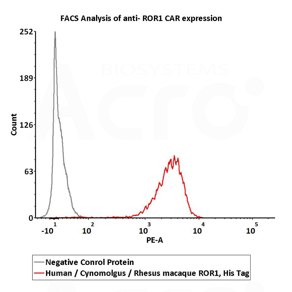  ROR1 FACS