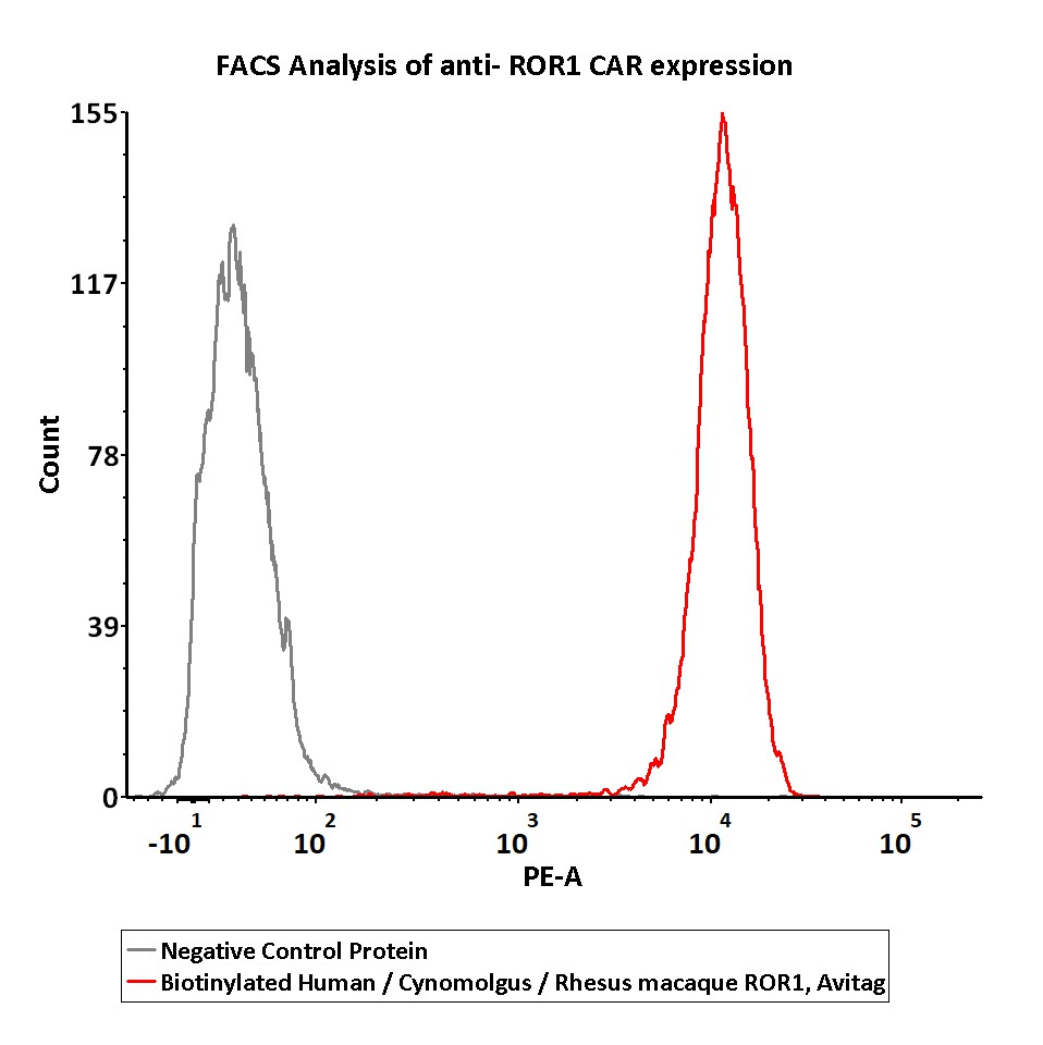  ROR1 FACS