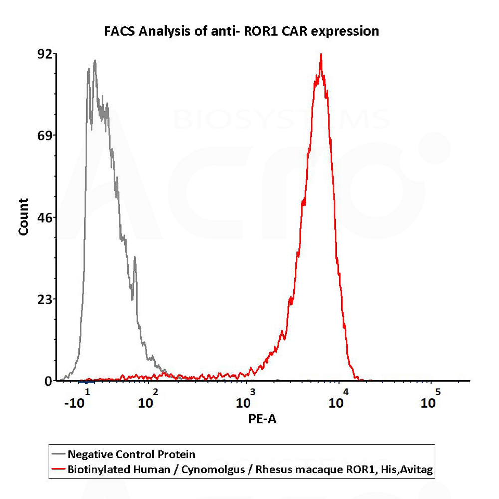  ROR1 FACS