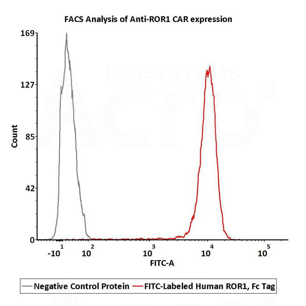  ROR1 FACS