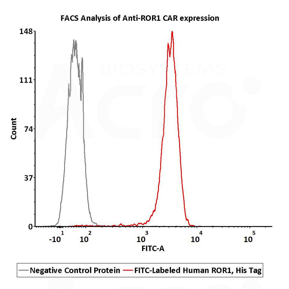  ROR1 FACS