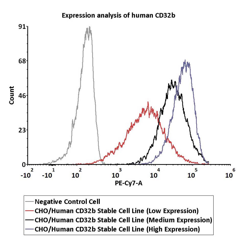  Fc gamma RIIB / CD32b FACS