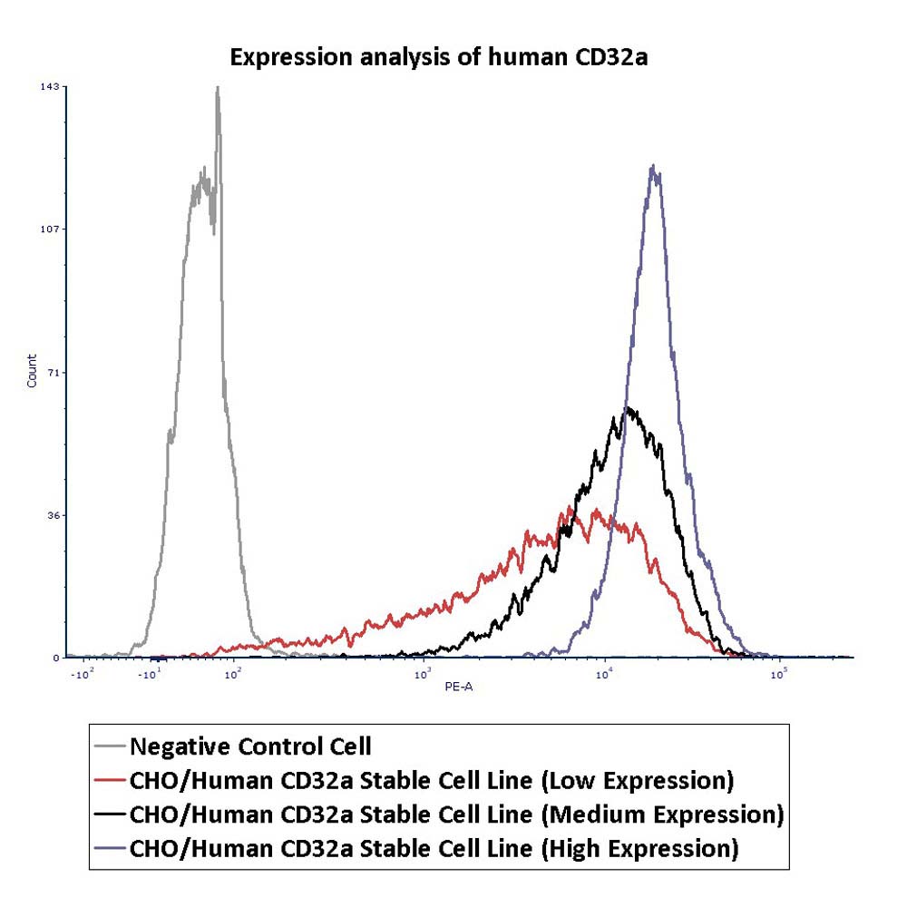  Fc gamma RIIA / CD32a FACS