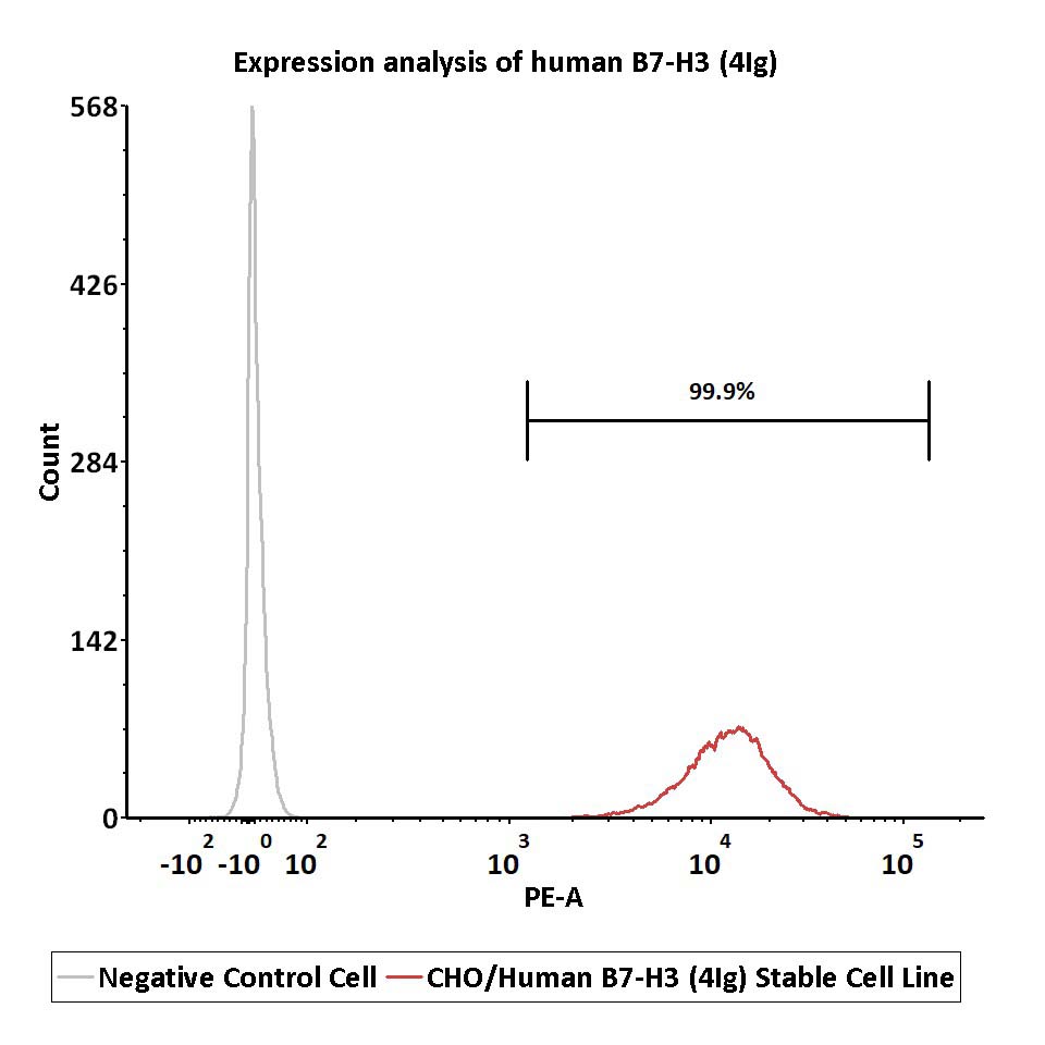  B7-H3 (4Ig) FACS