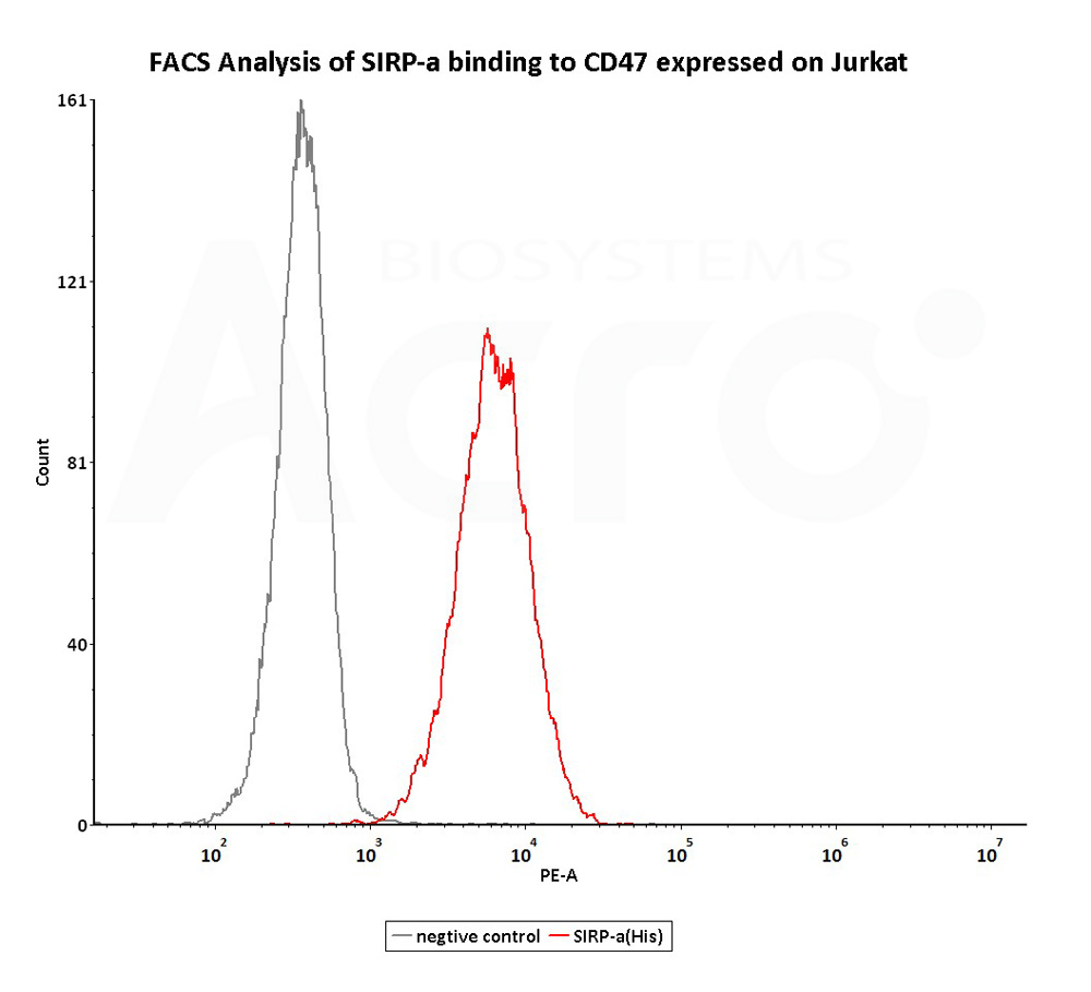  SIRP alpha FACS