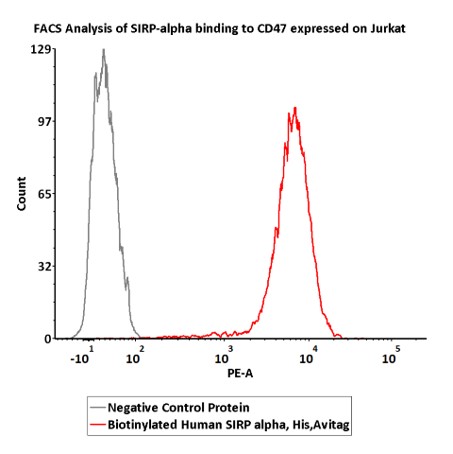  SIRP alpha FACS