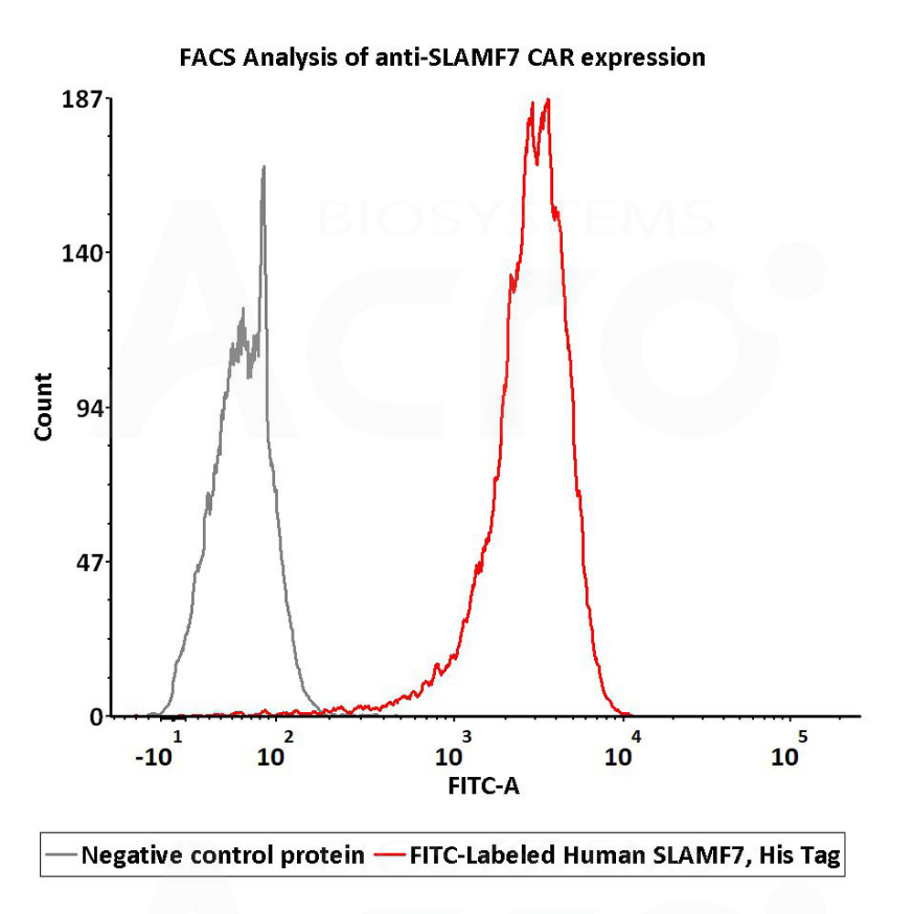  SLAMF7 FACS