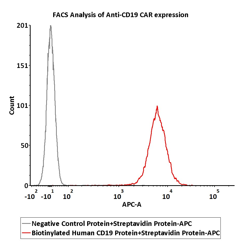  Streptavidin FACS