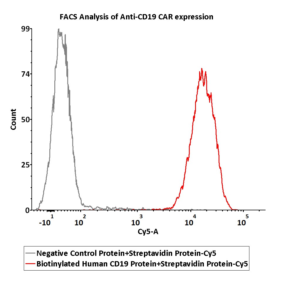  Streptavidin FACS