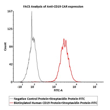  Streptavidin FACS