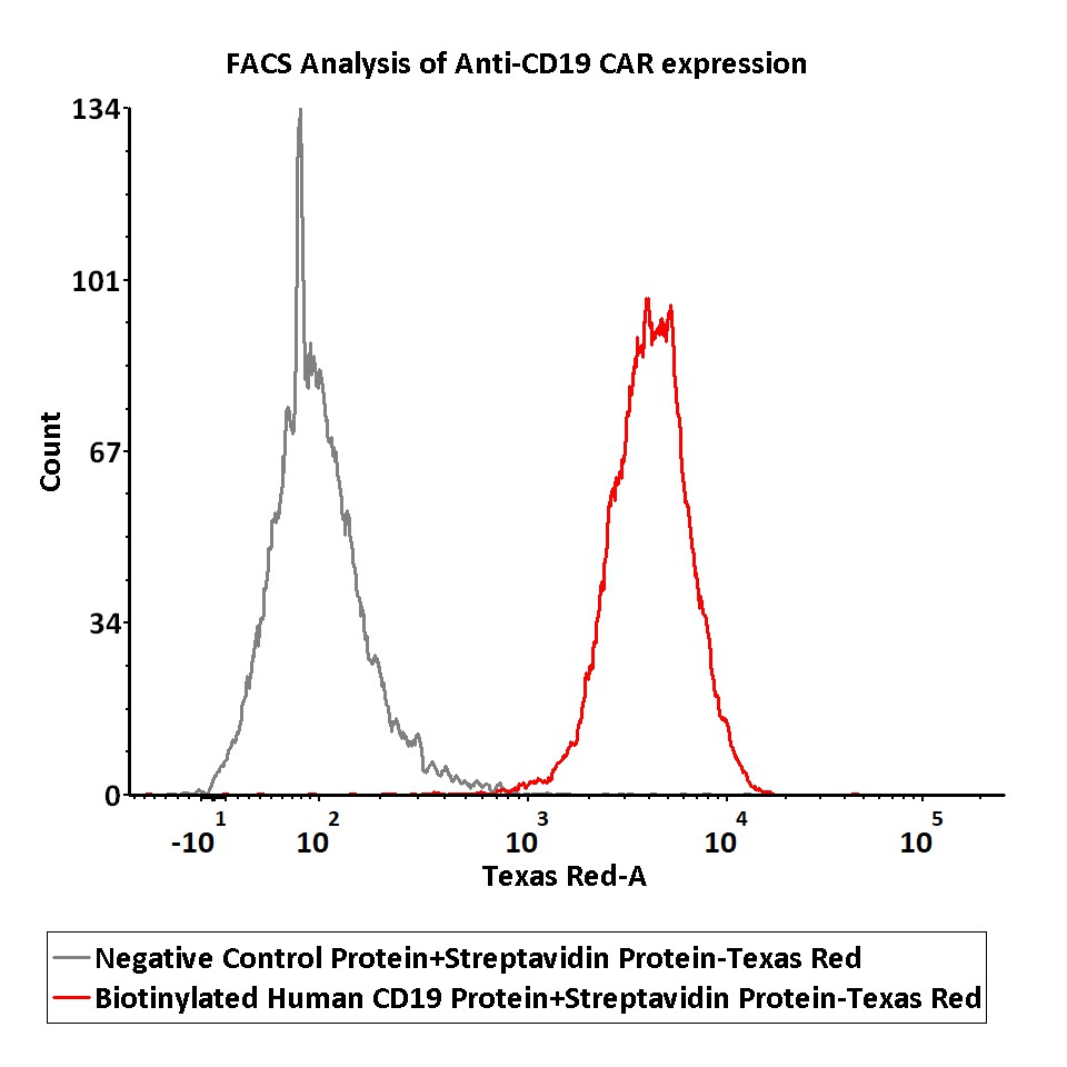  Streptavidin FACS