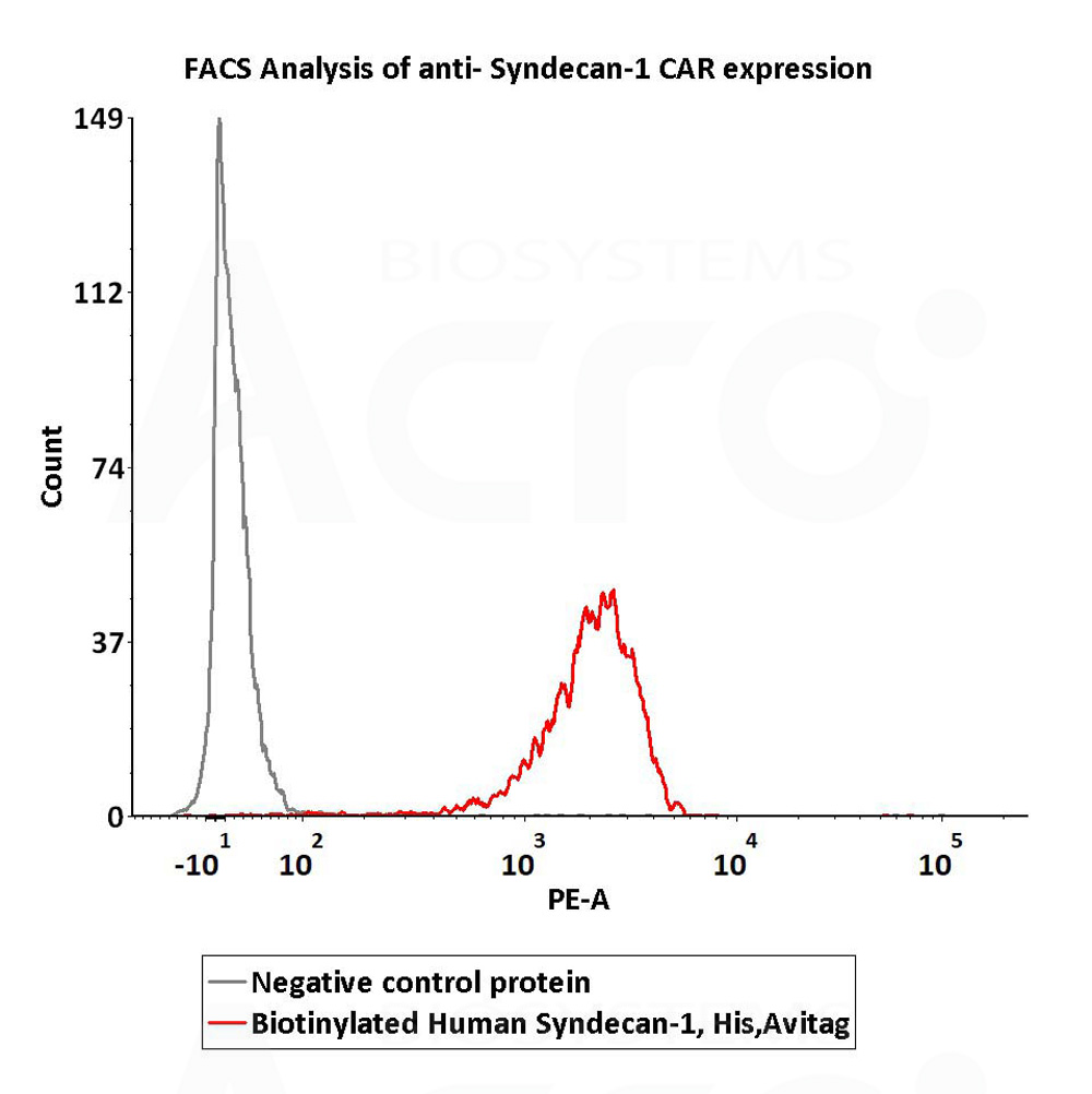  Syndecan-1 FACS