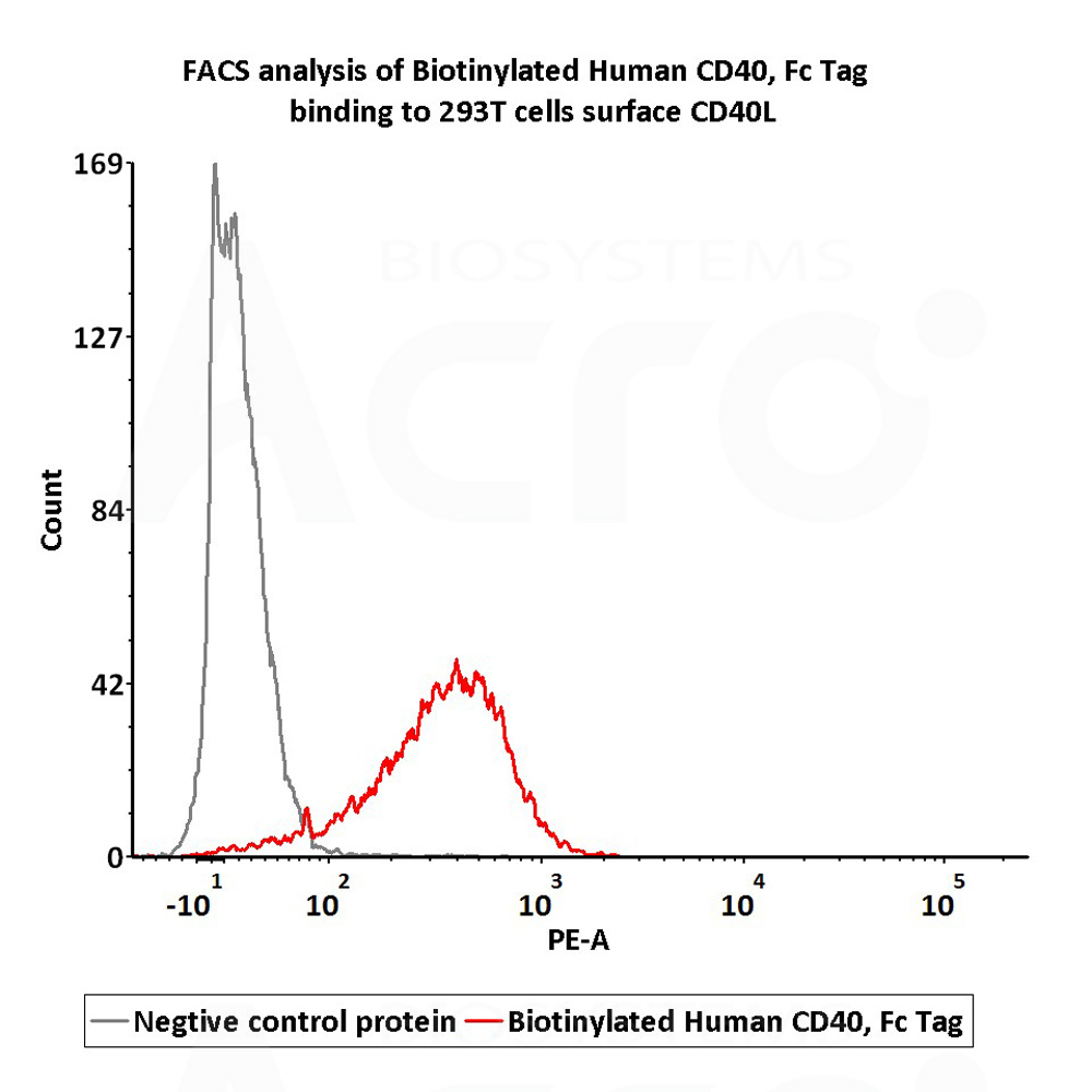  CD40 FACS