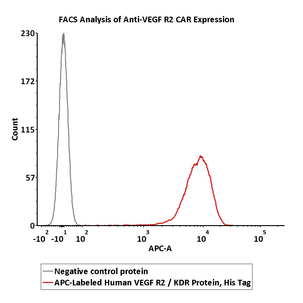  VEGF R2 FACS