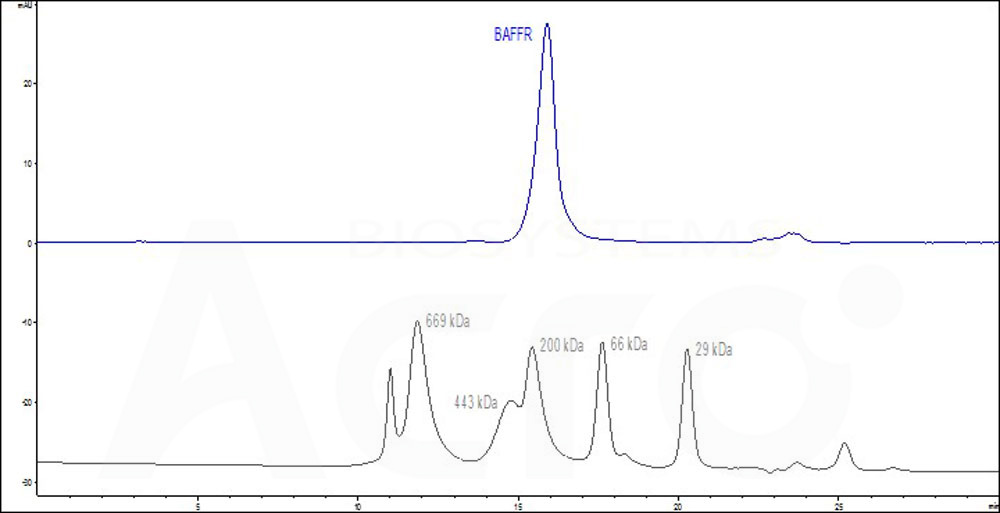 BAFFR SEC-HPLC