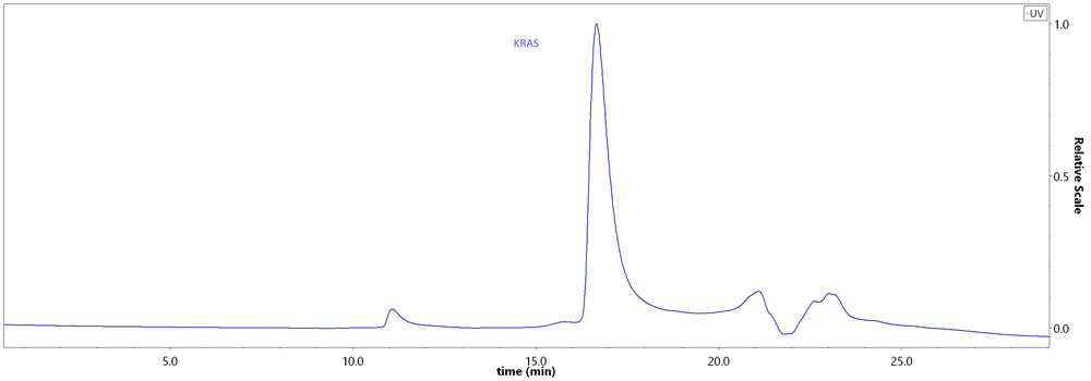 KRAS SEC-HPLC