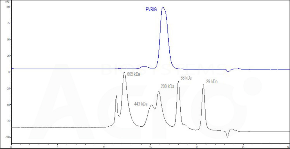 PVRIG SEC-HPLC