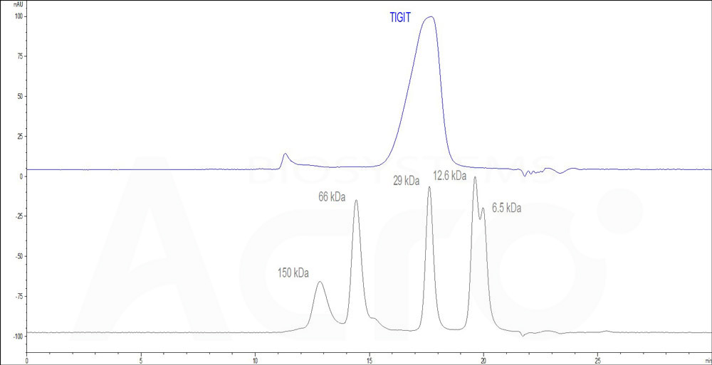 TIGIT SEC-HPLC