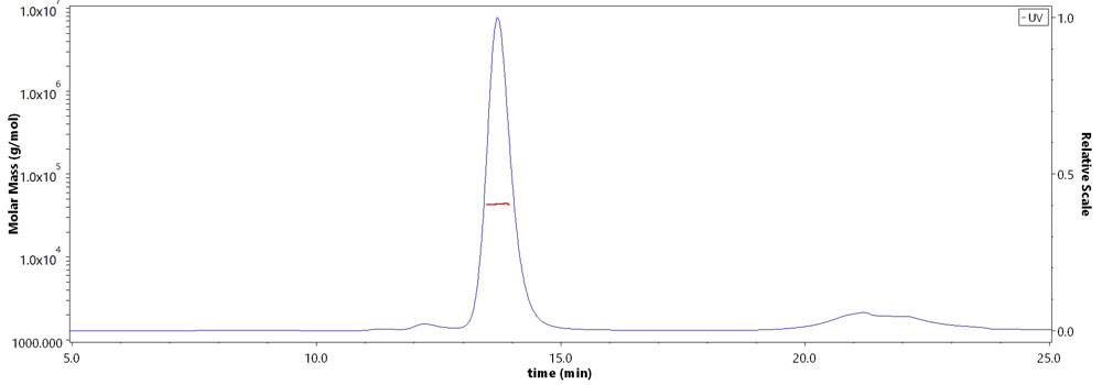 Carbonic Anhydrase IX MALS images