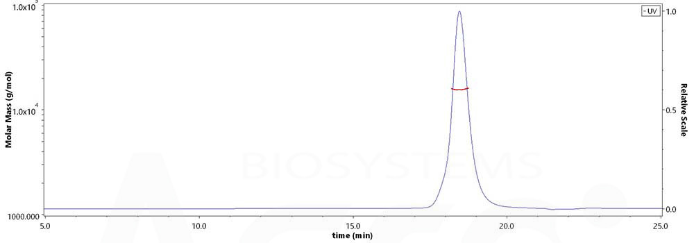 Nucleocapsid protein MALS images