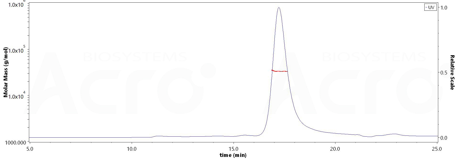 Nucleocapsid protein MALS images