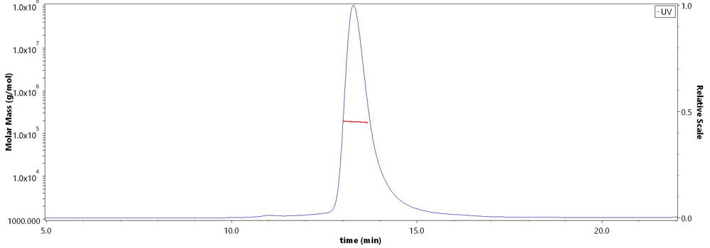 Prefusion glycoprotein F0/pre-F protein (RSV) MALS images