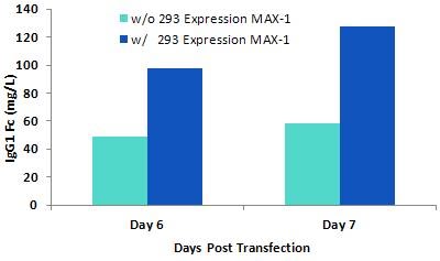 293 Expression MAXTM-1 Example