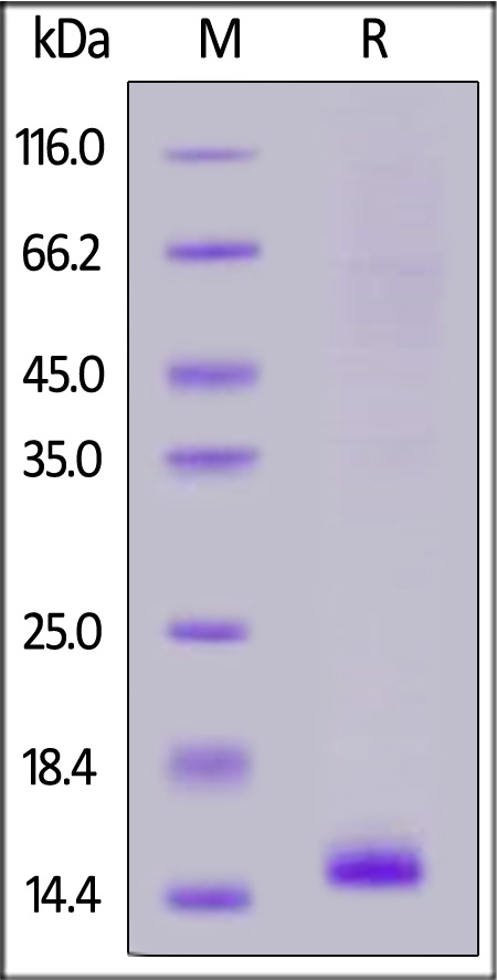 41B-H82E9-sds