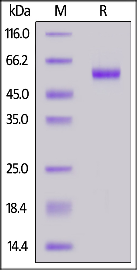 41B-H82F8-sds