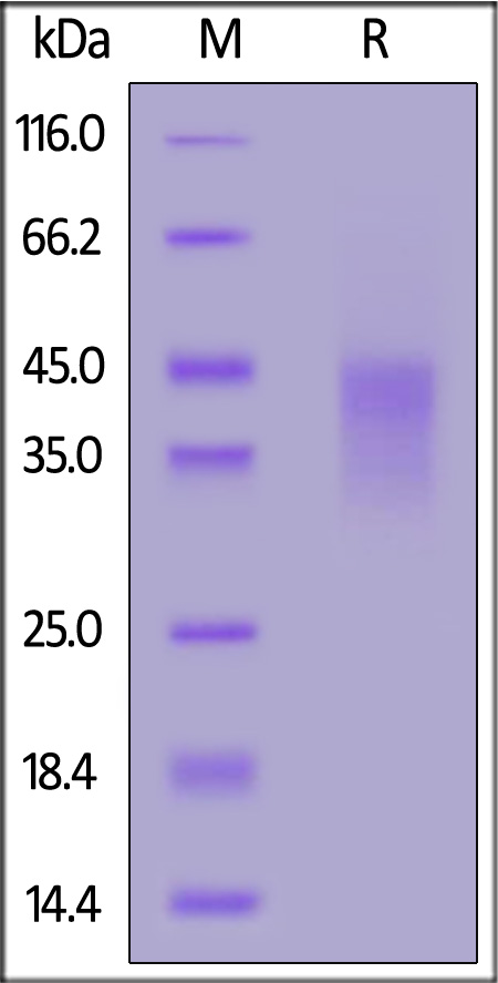 41B-M82E8-sds