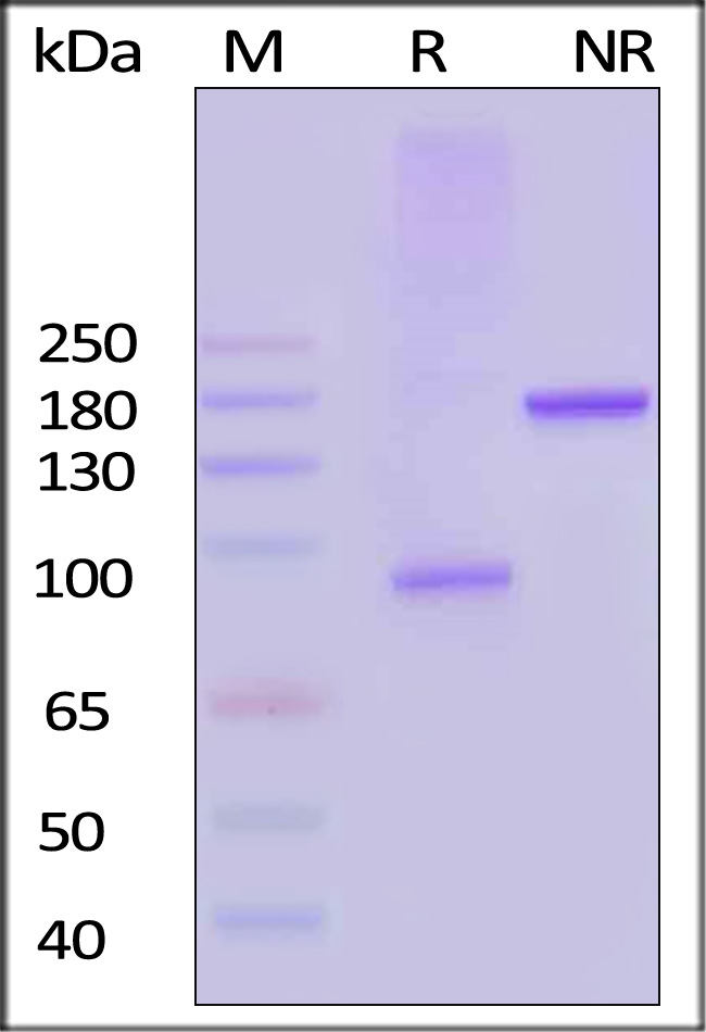 41L-H5269-sds