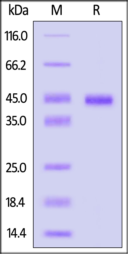 A1L-M52H3-sds