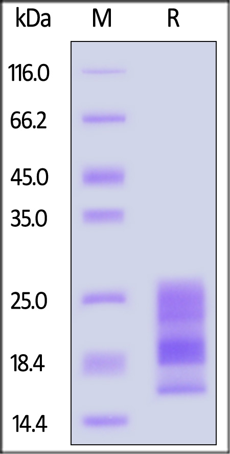 A2L-M52H3-sds