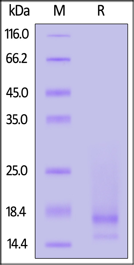 A3R-M52H3-sds