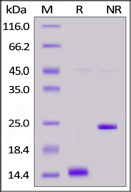 ACA-H421b-sds