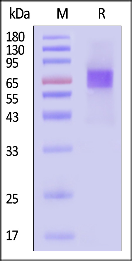 AN2-H82E9-sds