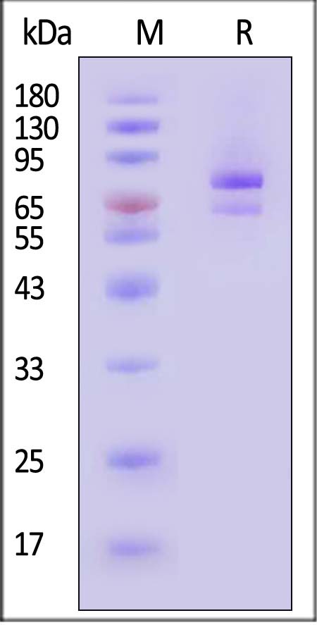 AN7-H82F3-sds