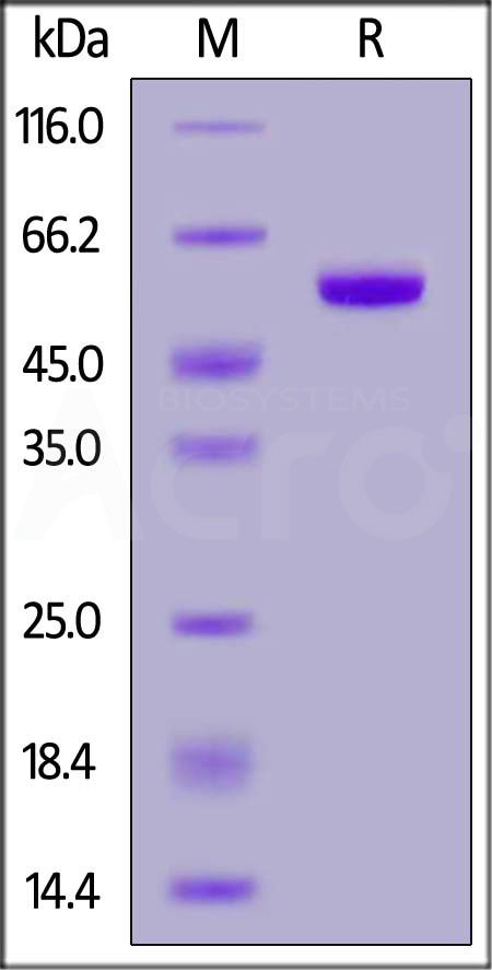 APL-C52D2-sds