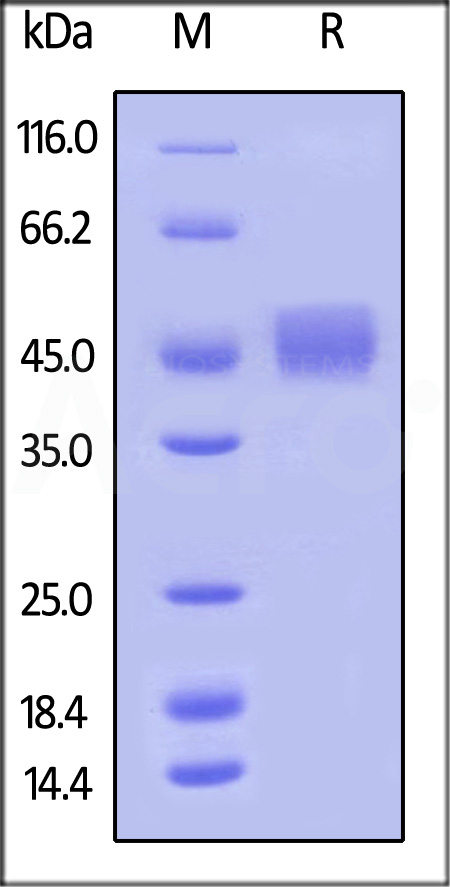 B71-H82E9-sds