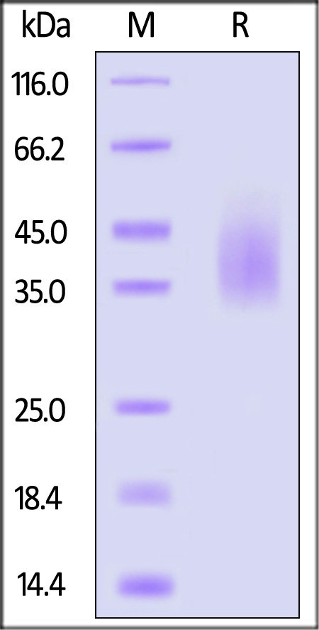 B71-R52H9-sds