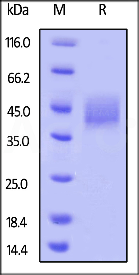 B73-H82E6-sds