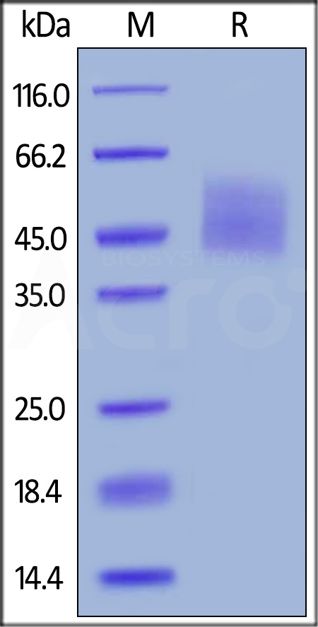 B76-H82E5-sds