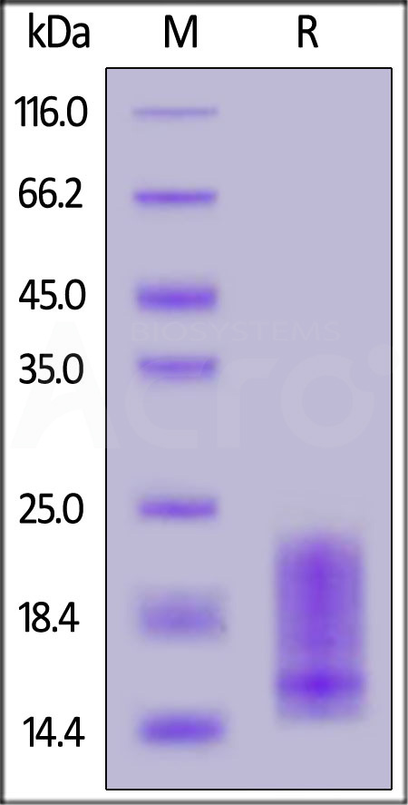 BAR-H82E3-sds