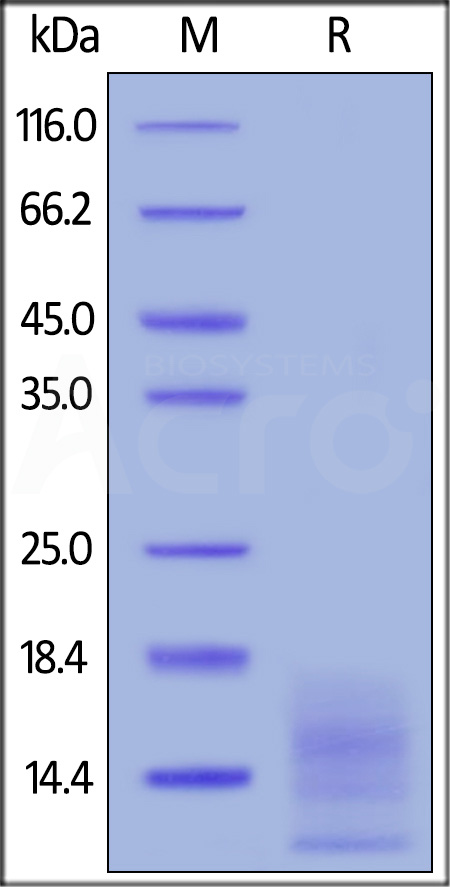 BCA-HF2H1-sds