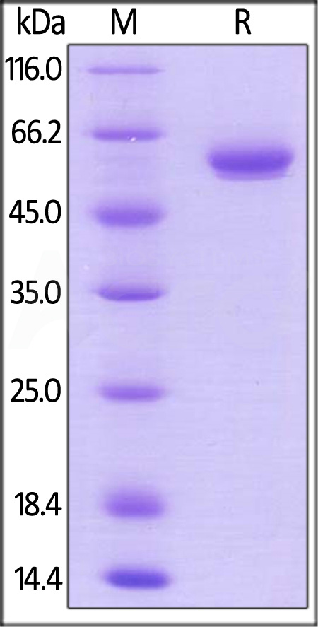 BT1-H82F7-sds