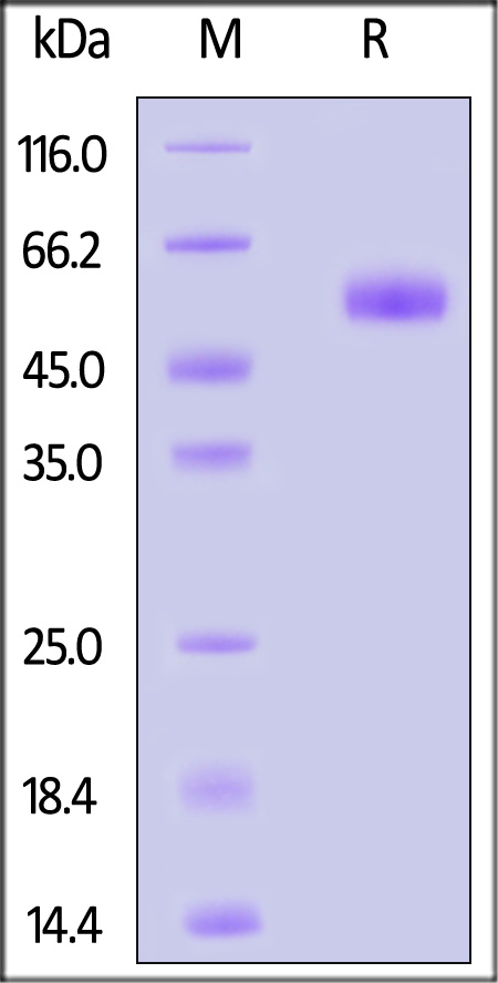 BTA-H82F5-sds