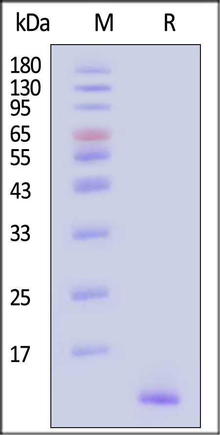 CC3-H5143-sds