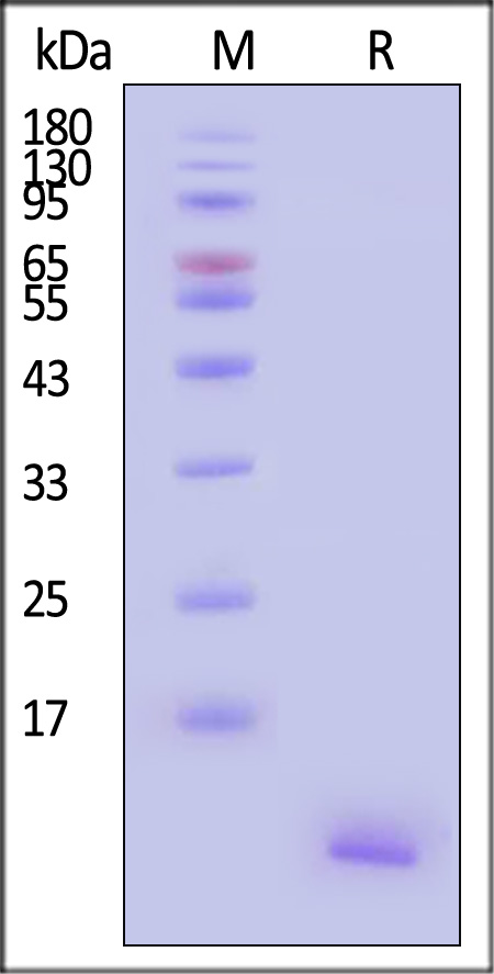 CC7-H5143-sds