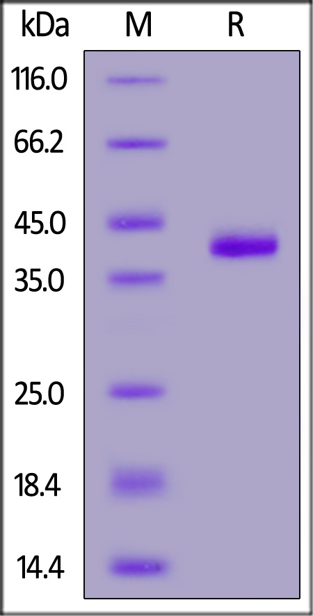 CC7-H5256-sds