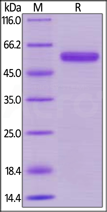 CD0-H525a-sds